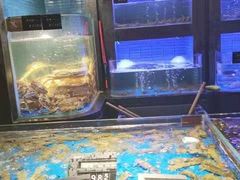 水产区-徐记海鲜(曲江南湖店)