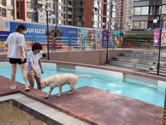 -帕帕拉兹宠物(亚洲旗舰店)