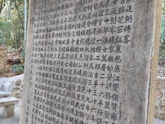 -青龙山国家森林公园