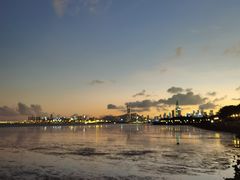 -深圳湾公园(南山区)