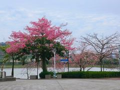 -风云岭森林公园