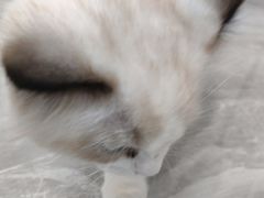 -宠颐生宠物医院·综合诊疗(先锋分院)