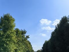 -广富林郊野公园