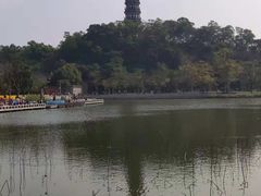 -顺峰山公园
