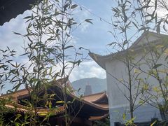 -深圳市中科院仙湖植物园