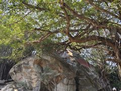 -东山风动石景区