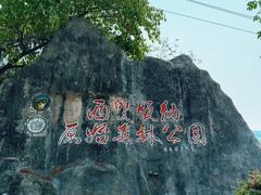 -西双版纳原始森林公园