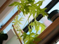 -JRCAFE玖如空间