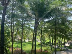 -海南清水湾莱佛士酒店