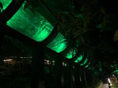 -花水湾第一村温泉大酒店