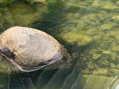 -活水公园
