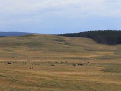 Lamar&nbsp;Valley-拉马尔山谷
