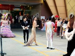 -金东尼人妖秀