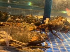 -海立阁海鲜江浙菜(漕河泾印象城店)