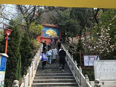 -孤山景区-孤山寺