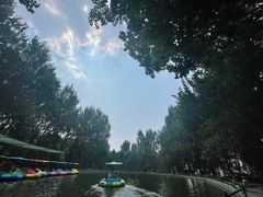 -长白岛森林公园