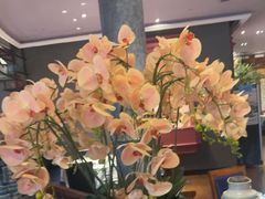 -八府香鸭·啫啫煲(华山路店)