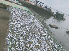 -文昌铺前老街