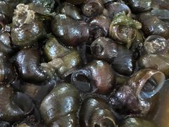 -洲心明记烧肉大粥(总店)