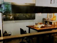 -咖法森林·咖啡  酒吧(天河店)