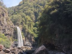 -九鲤湖风景区