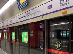 -望京西(地铁站)