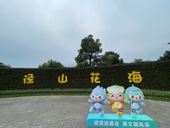 -径山花海