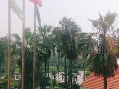 -鹤山碧桂园凤凰酒店