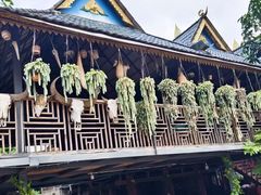 -西双版纳傣族园