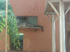 -青藏高原野生动物园