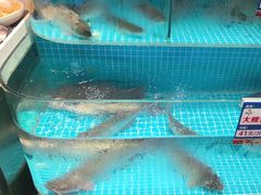 -山河屯铁锅炖(哈西站店)