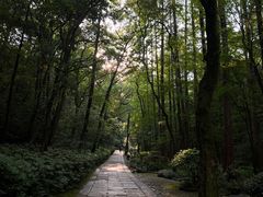 -虎跑公园