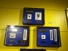 android_upload_pic-上海昆虫博物馆