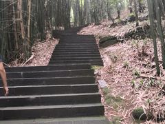 -凤栖山