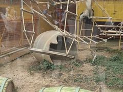 -无锡动物园·太湖欢乐园