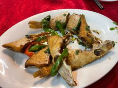 -蛇口康乐快餐鱼仔档(翠苑小区店)