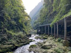 -三峡人家风景区