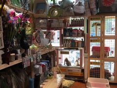 -爱宠屋pet shop·宠物洗澡·宠物美容
