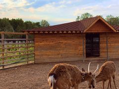 -安德鲁户外烧烤帐篷营地(马泉营店)