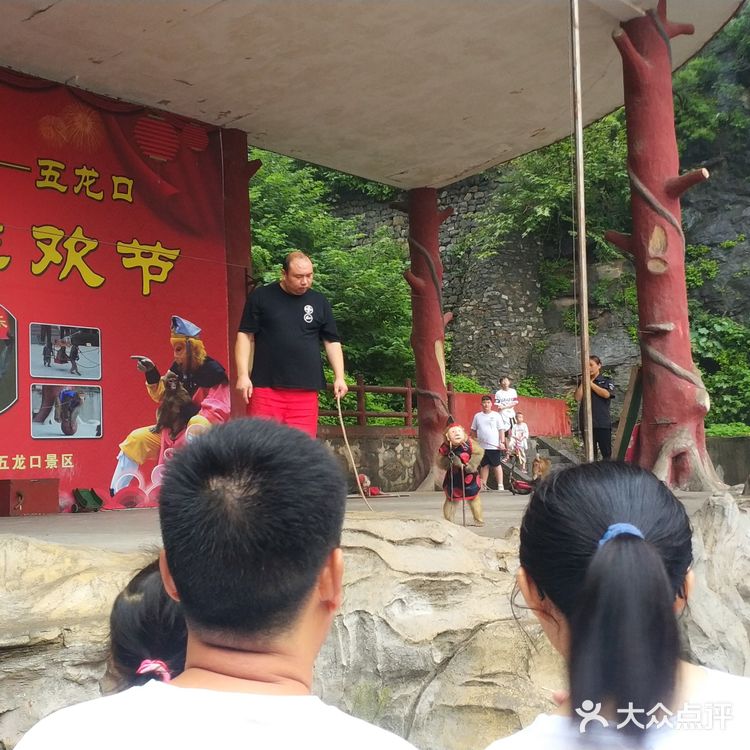 五龙口的猴子太可爱了