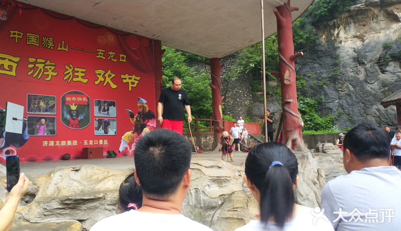 五龙口的猴子太可爱了