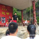 五龙口的猴子太可爱了