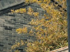 -河间府署