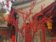 -红螺寺