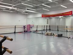 -中央芭蕾舞团·中芭艺蕾(酒仙桥明星校区)