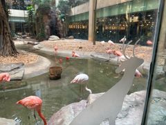 -麒麟中餐厅·经典粤菜·地道菜式老字号(广州长隆酒店)