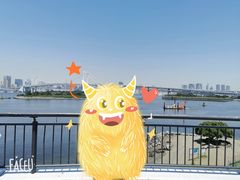 -台场海滨公园船码头
