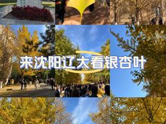 -辽宁大学(崇山校区)