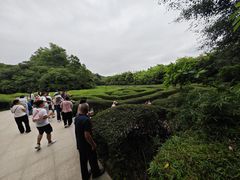-大屏嶂森林公园