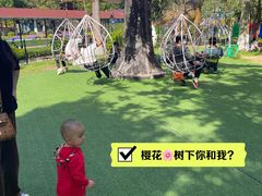 -飞来湖湿地公园